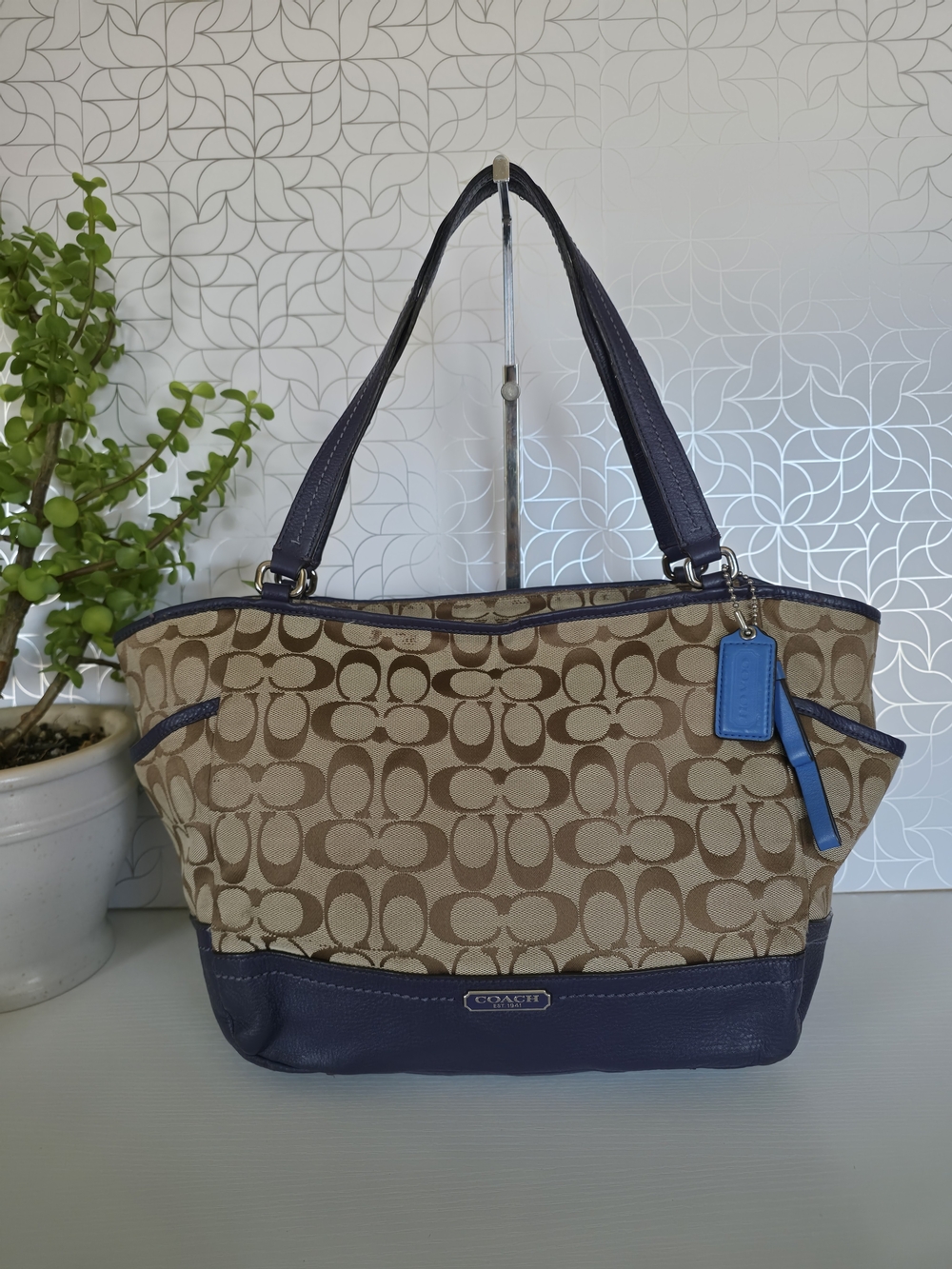 Coach Park Signature Carrie Tote (Style F23297